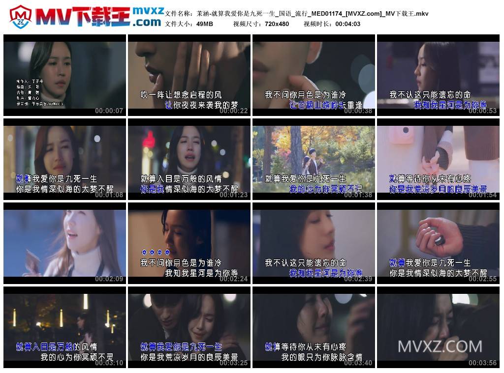 茉涵-就算我爱你是九死一生_国语_流行_MED01174